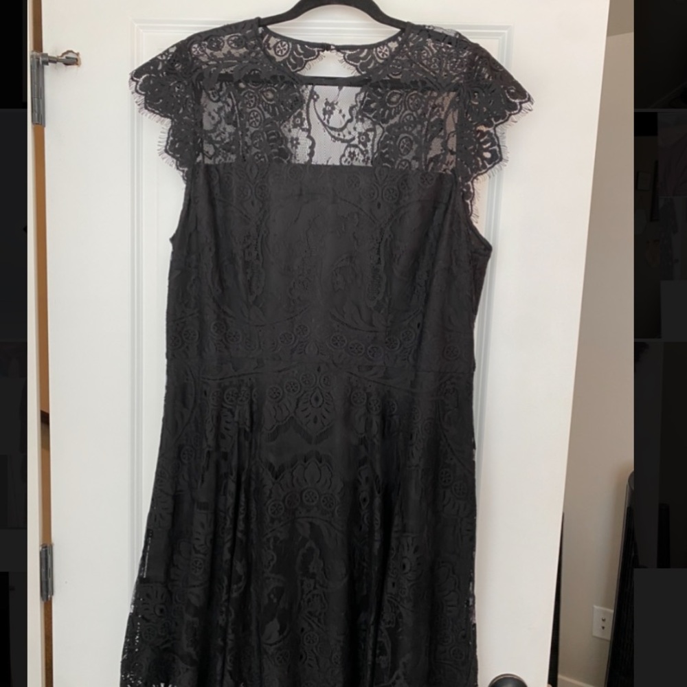 BB DAKOTA beautiful black lace mini dress